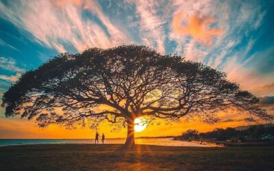 Só há transformação, quando se faz escolhas diferentes!